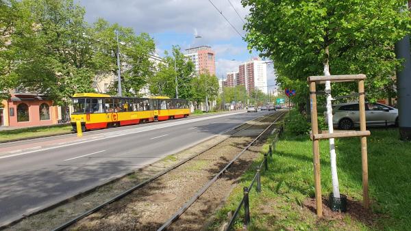 Plan remontów torów tramwajowych. Gdzie na Pradze będą prowadzone prace? title=