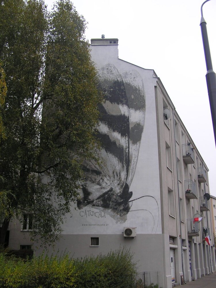 Mural 11 Listopada 54 w&nbsp;Warszawie