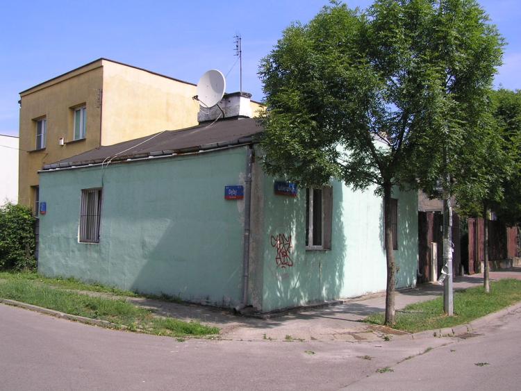 Dęby w&nbsp;Warszawie