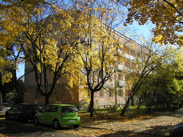 Linneusza 10 w&nbsp;Warszawie