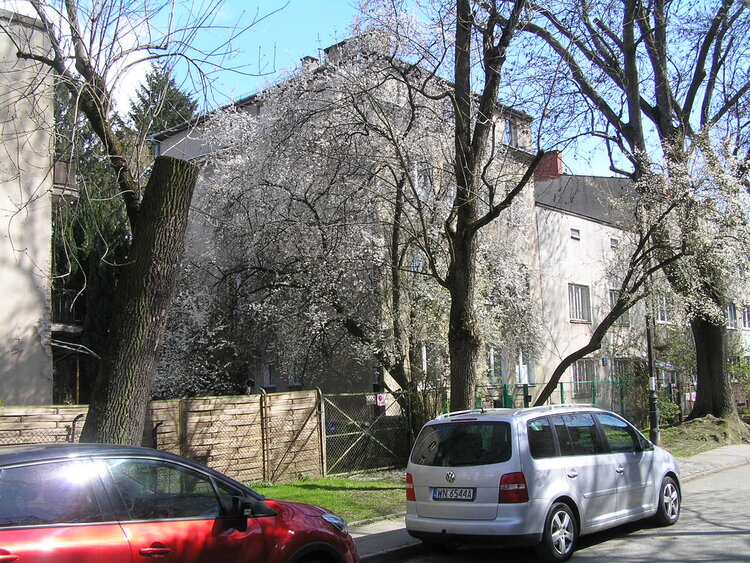 Styki 14 w&nbsp;Warszawie