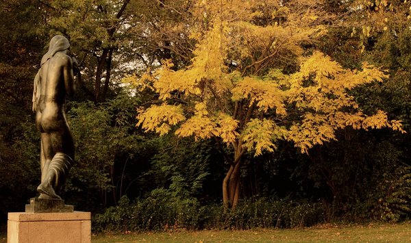 Jesienne kolory z Parku Skaryszewskiego