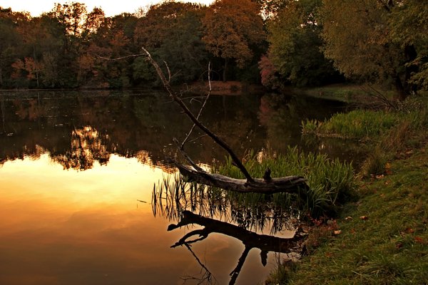 Jesienne kolory z Parku Skaryszewskiego