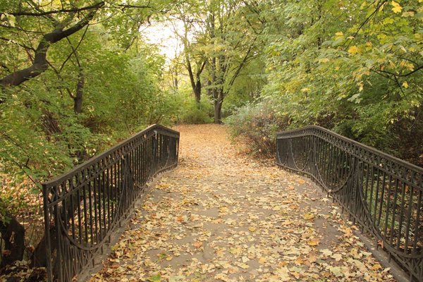 Jesienne kolory z Parku Skaryszewskiego