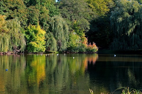 Jesienne kolory z Parku Skaryszewskiego