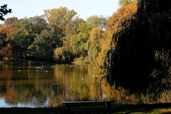 Jesienne kolory z Parku Skaryszewskiego