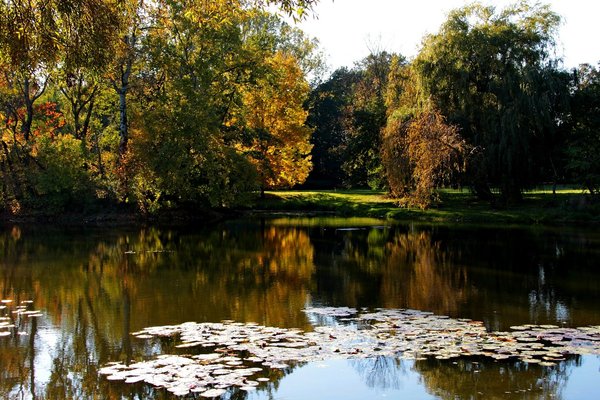 Jesienne kolory z Parku Skaryszewskiego