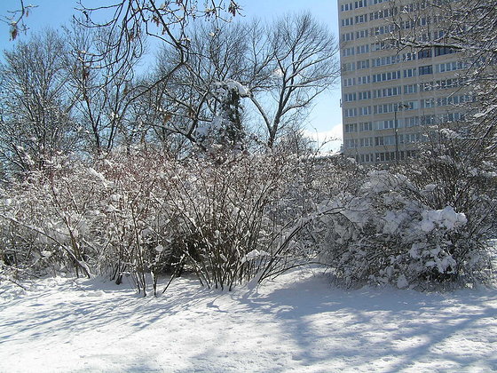 Pożegnanie zimy w Parku Skaryszewskim