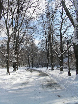 Pożegnanie zimy w Parku Skaryszewskim