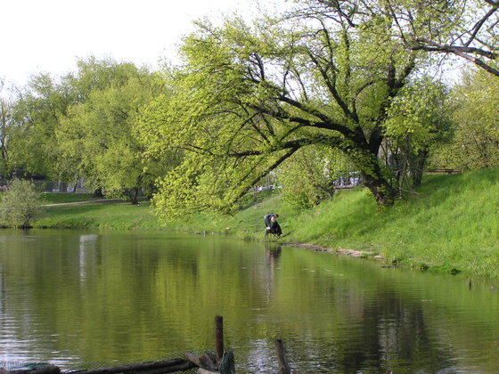 Wiosna w Parku Skaryszewskim