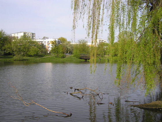 Wiosna w Parku Skaryszewskim