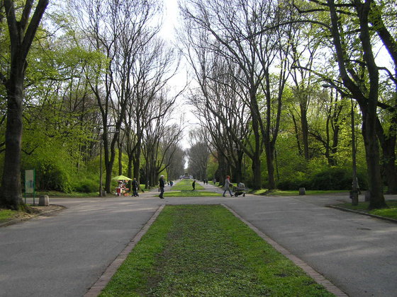 Wiosna w Parku Skaryszewskim