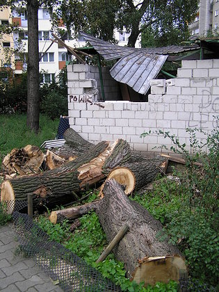 Skutki nawałnicy na ul. Olszowej