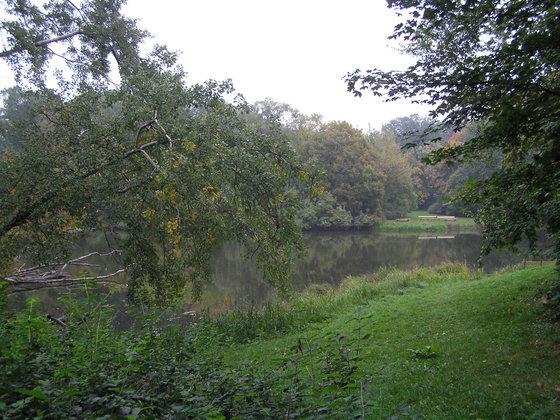 Spacer ornitologiczny po parku Skaryszewskim