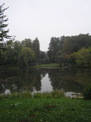 Spacer ornitologiczny po parku Skaryszewskim