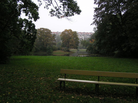 Spacer ornitologiczny po parku Skaryszewskim