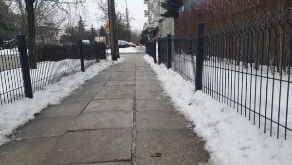 Ślisko na Pradze. Miejskie służby walczą z gołoledzią