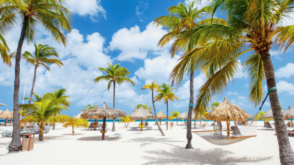 Aruba - plaże, słońce i relaks w karaibskim klimacie