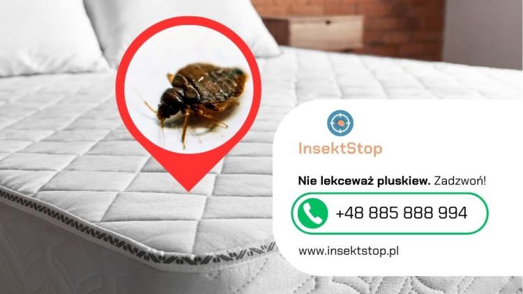 zwalczanie pluskiew warszawa