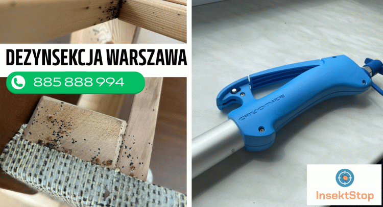 odpluskwianie warszawa