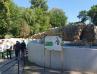 Pingwiny na nowym wybiegu. Warszawskie ZOO zaczyna odliczanie do setki