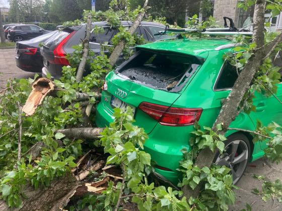 Powalone drzewo na Skoczylasa. Trzy auta zniszczone
