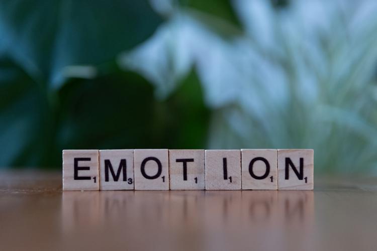 napis emotion z&nbsp;literek