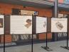 Praga sprzed lat i dziś. W Koneserze można zobaczyć, jak zmieniła się dzielnica