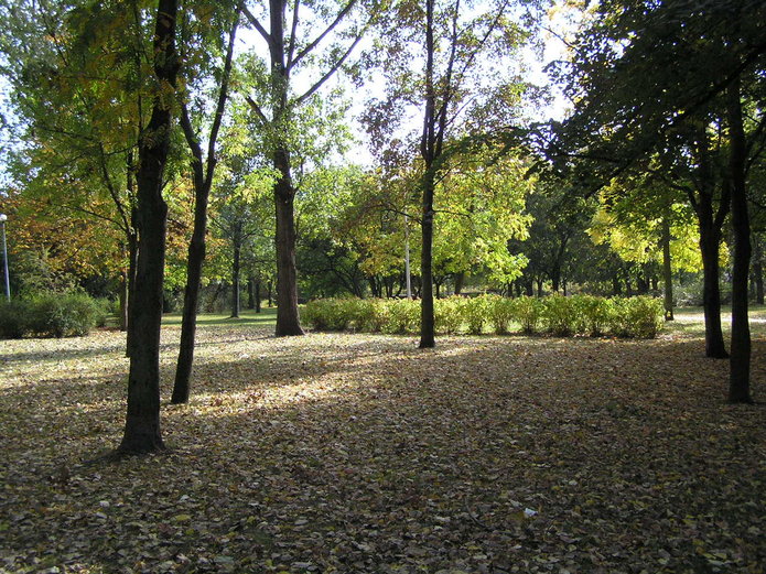 Park przy Kawęczyńskiej