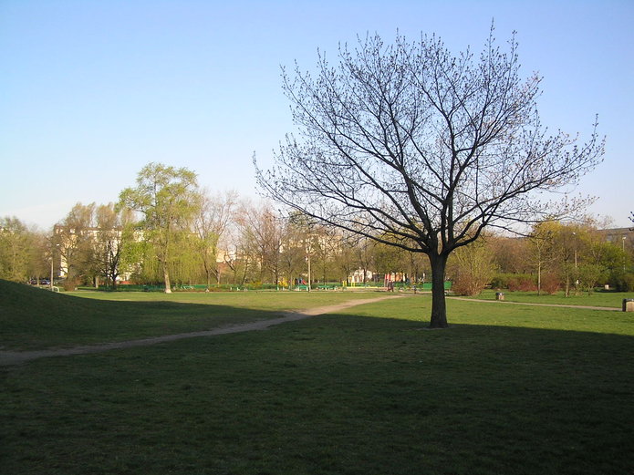 Park Polińskiego zostanie przebudowany