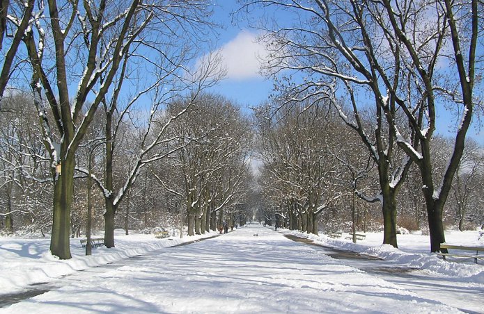 Park Skaryszewski zimą