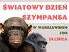 Spacer po ZOO - śladami małp afrykańskich z okazji Światowego Dnia Szympansa!