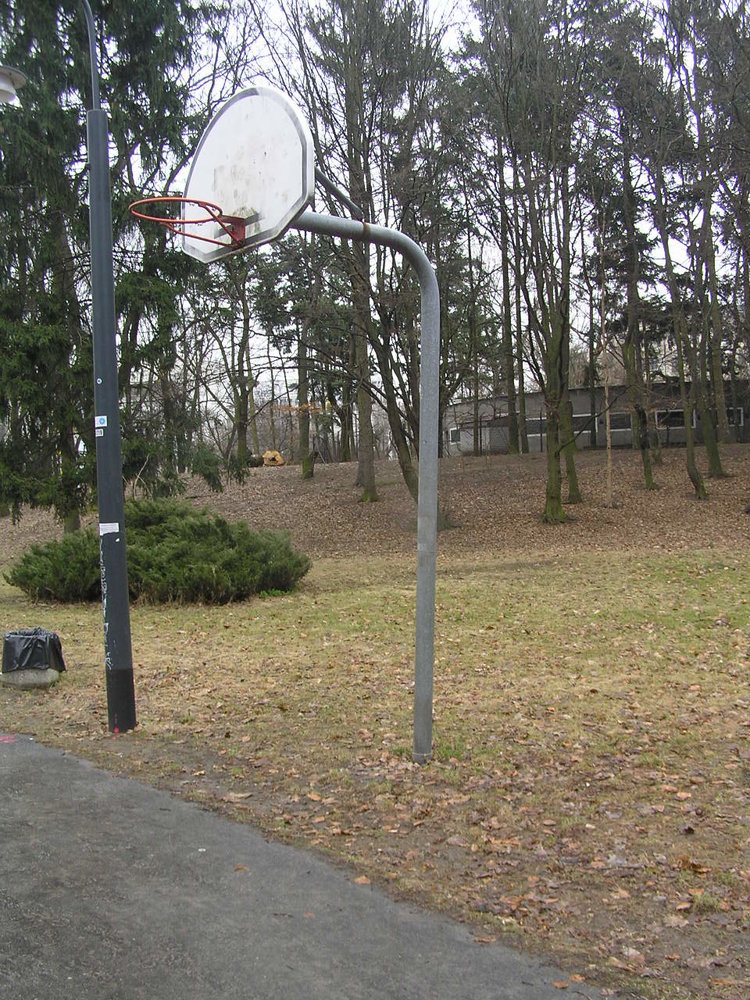 Kosz do koszykówki w&nbsp;Parku Praskim