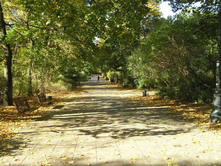 Aleja K. Lisieckiego Dziadka w&nbsp;Warszawie
